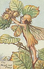 Fata 13